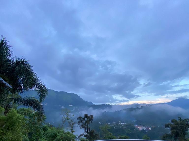 Munnar Blue Mist Bed & Breakfast Luaran gambar