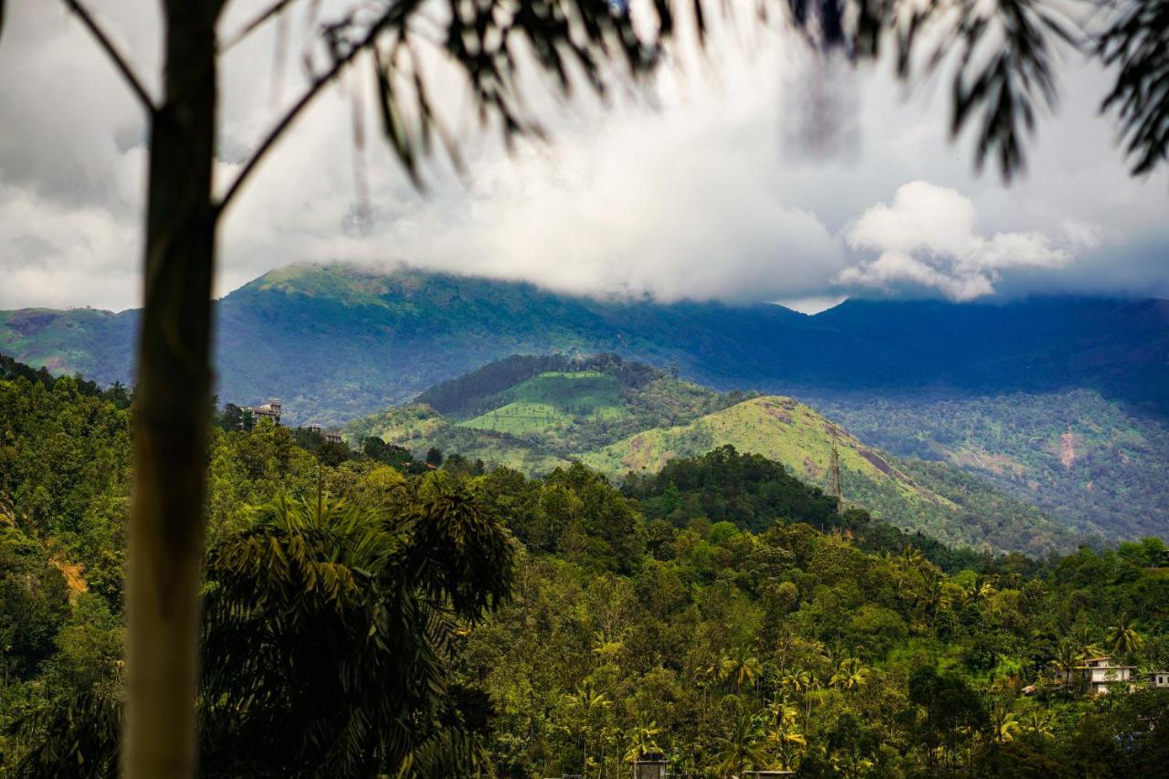 Munnar Blue Mist Bed & Breakfast Luaran gambar